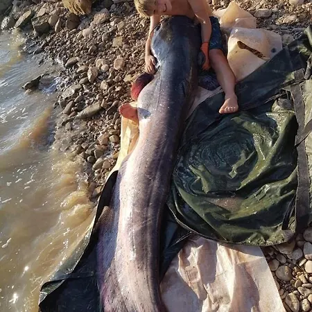 샬레 Casa Peninsula 1 *