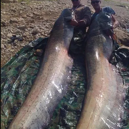 Casa Peninsula 1 * Каспе