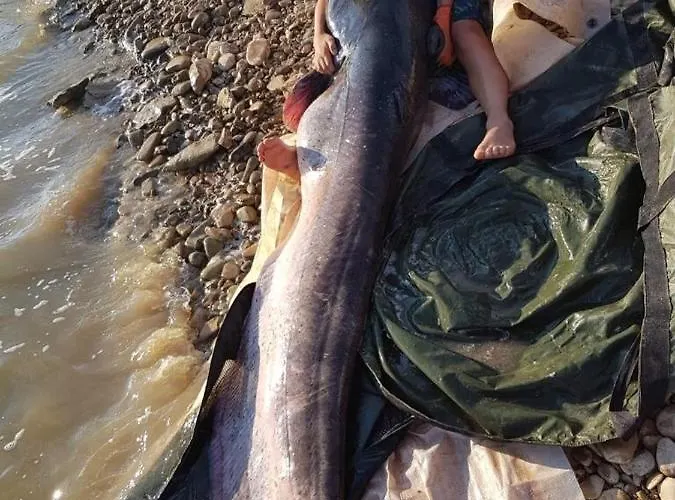 Alpstuga Casa Peninsula 1 *