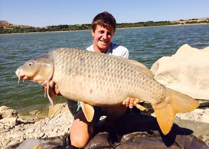 Casa Peninsula 1 Alpstuga Caspe