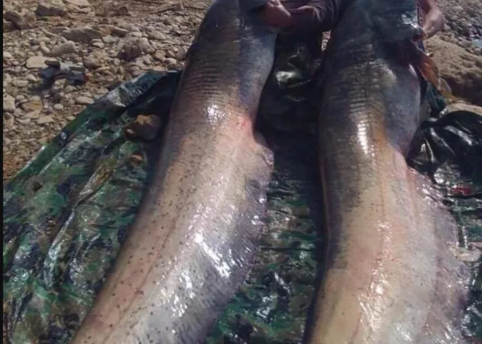 Casa Peninsula 1 * Caspe