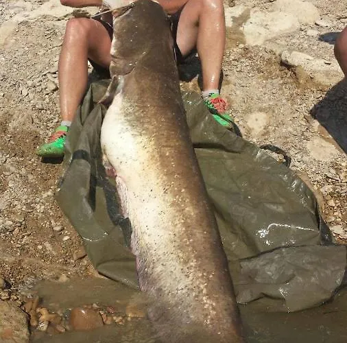 Alpstuga Casa Peninsula 1